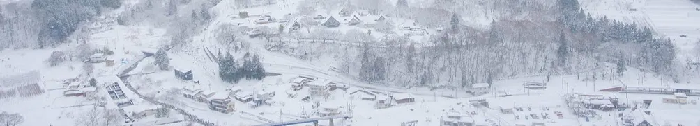 Juily的織夢天地