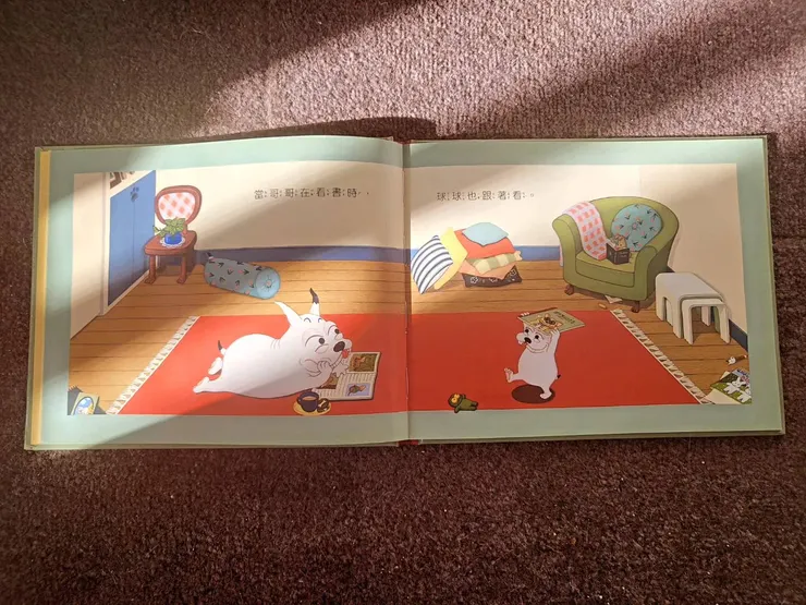 《球球和哥哥》