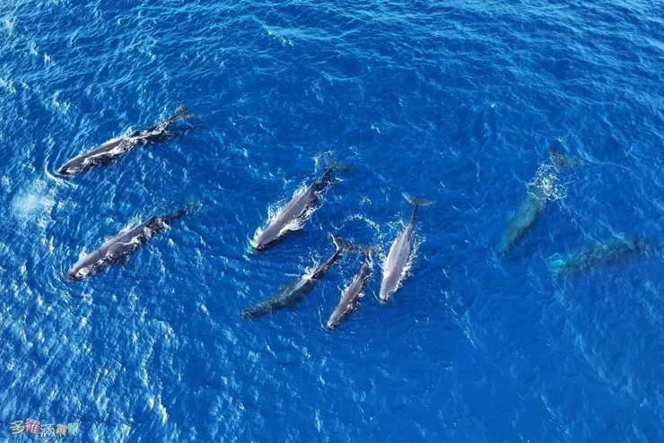 多羅滿（空拍照）