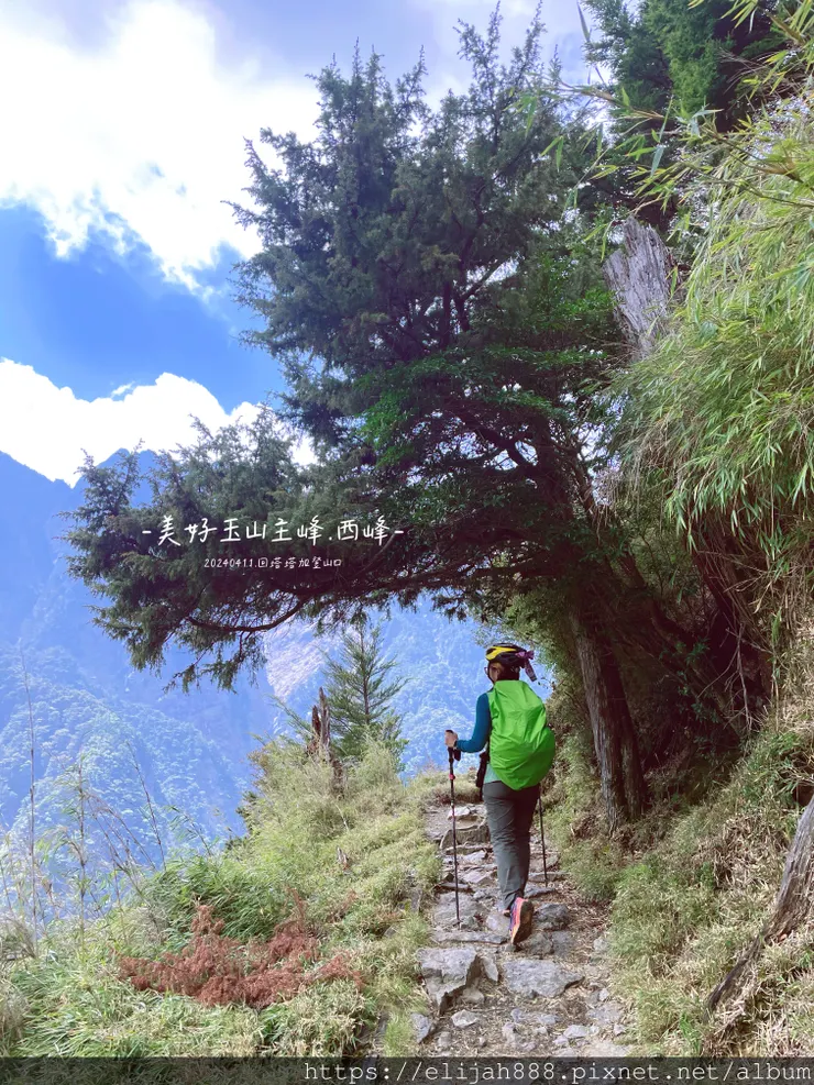 【玉山主峰西峰.兩天兩夜】冷到爆炸的玉山主峰賞雲海/一直走花