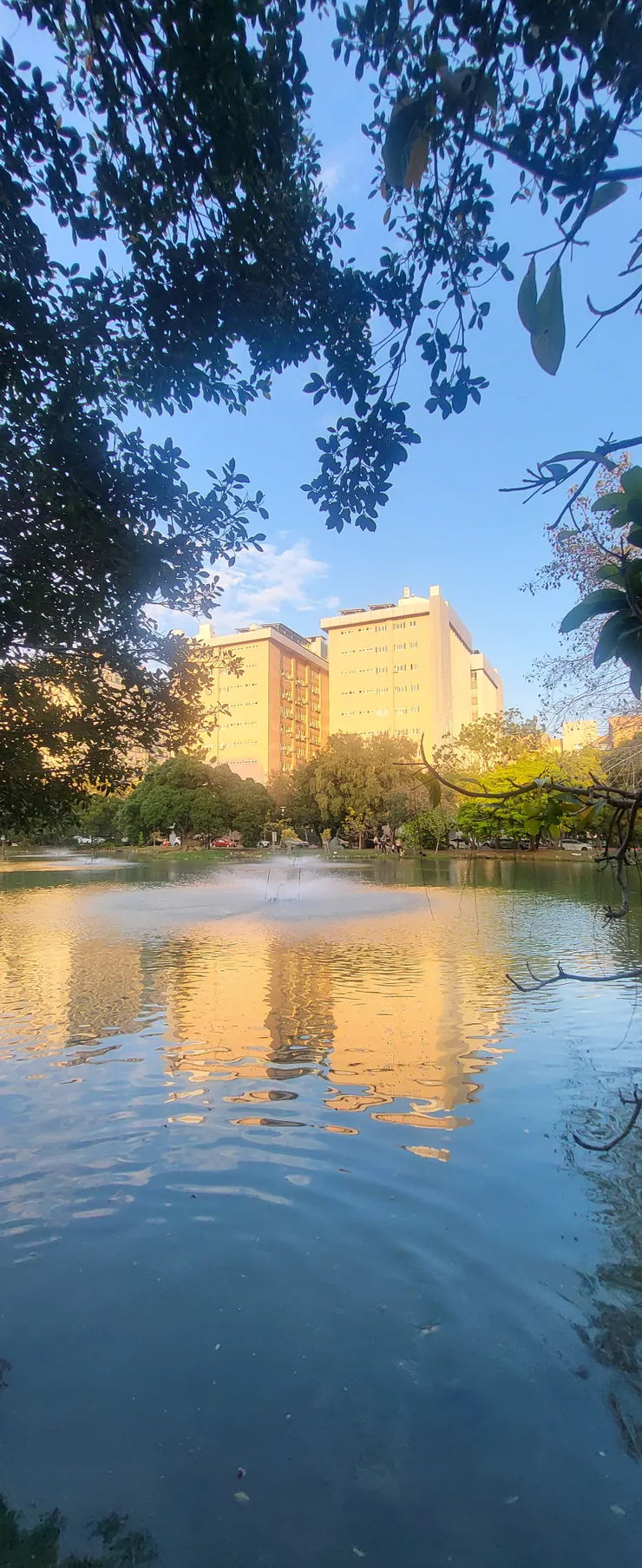 午後的中興湖(李建崑攝影)