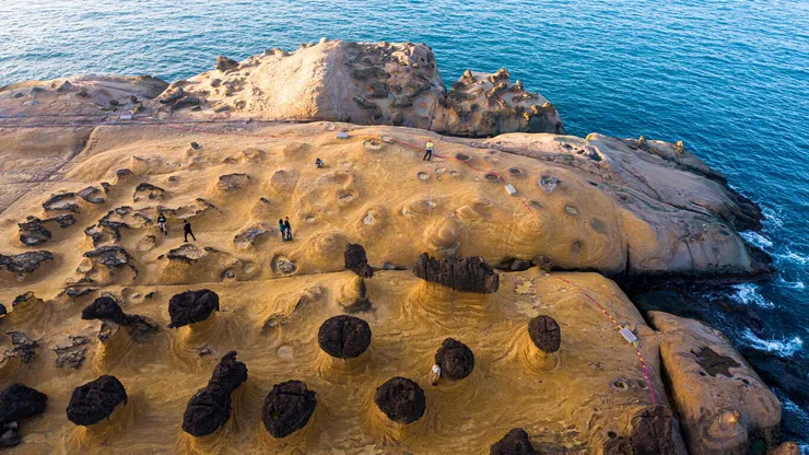 台北.台北野柳地質公園.野柳地質公園.女王頭.燭台石