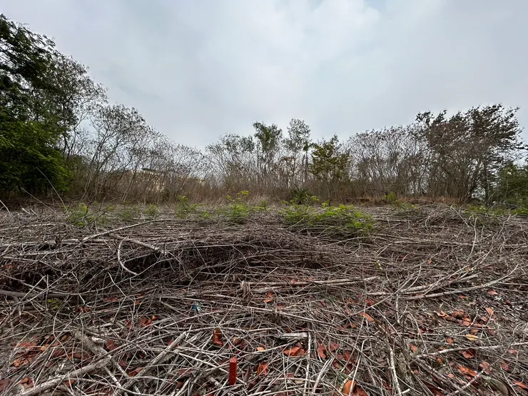 圖片來源/台灣房屋三多捷運加盟店