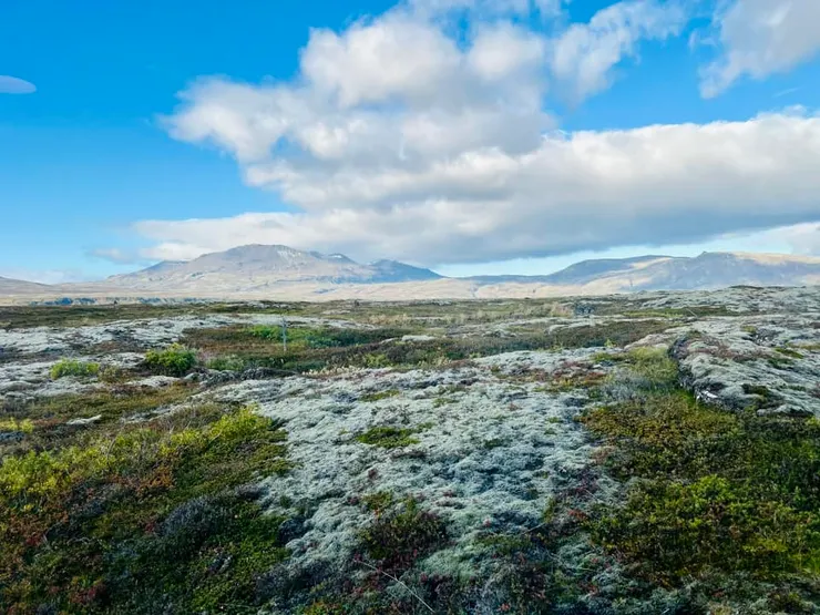 自然生態豐富
