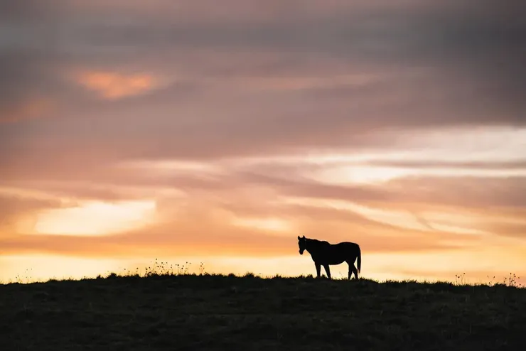 Photo by Dan Price on Unsplash