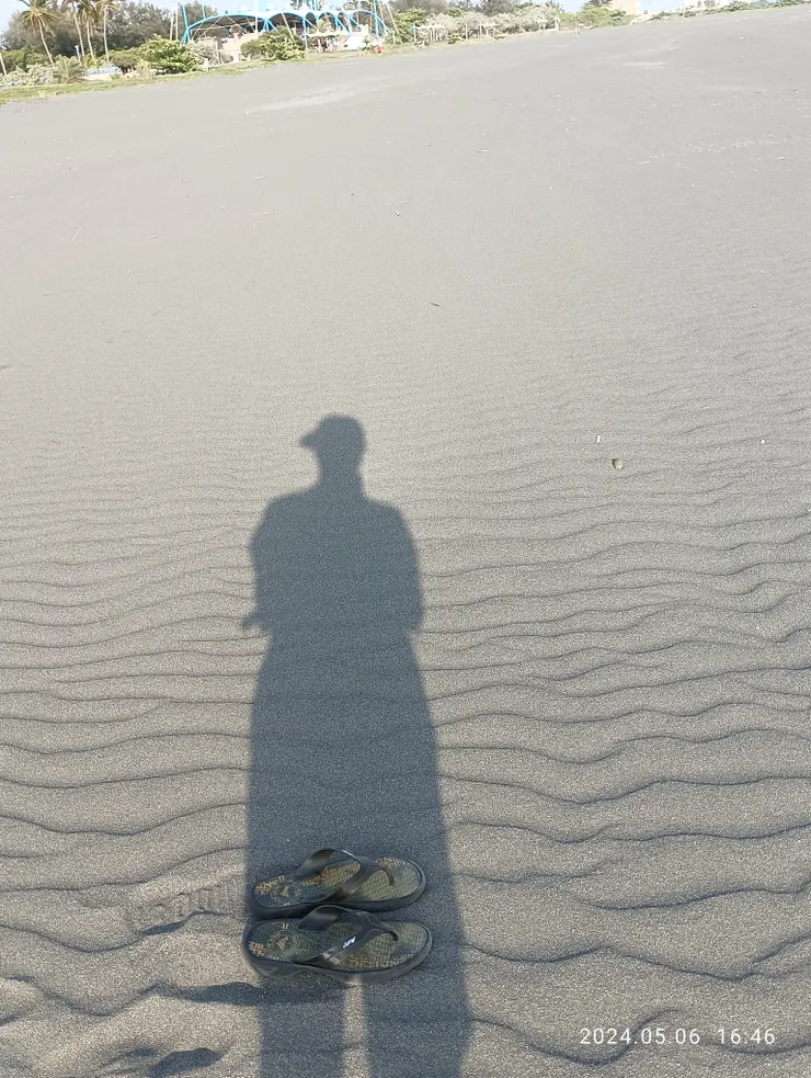 海風盛吹沙如鱗