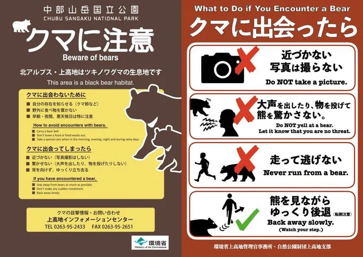 圖片取自上高地熊目擊情報網站