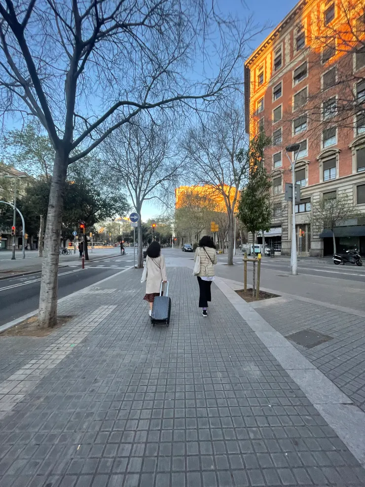 購物必備：登機箱 