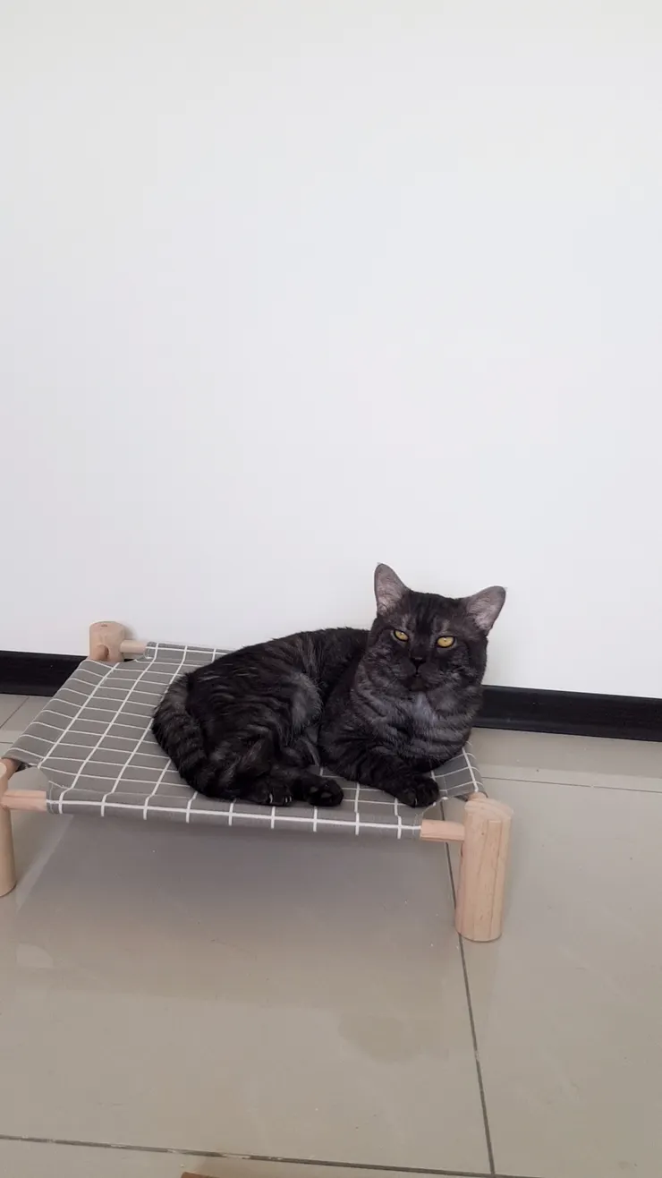 臭臉擔當可不是浪得虛名