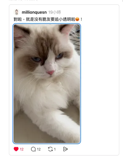 26 de marzo ｜今日單字｜Gato