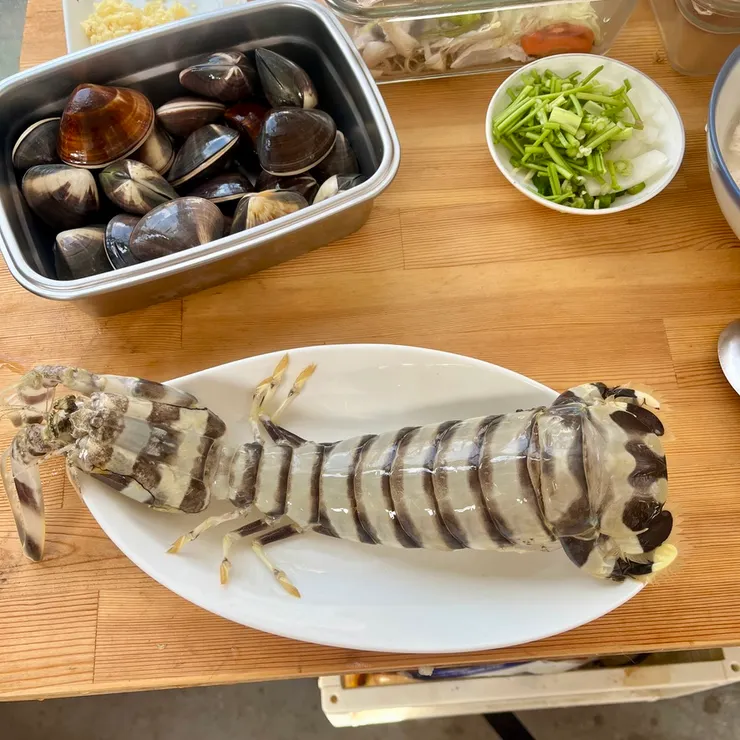 體前的螫真的很像螳螂