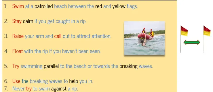 圖源:AMEP課程講義