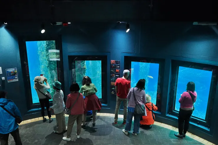 水下觀測站（Underwater Observatory）