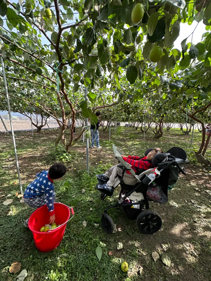 輪椅族出門時需要的自由空間，容易受限。