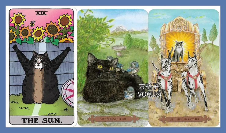 vocus|新世代的創作平台