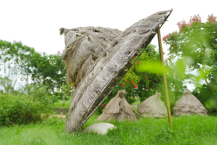 好日市集旁的大斗笠農田地標。