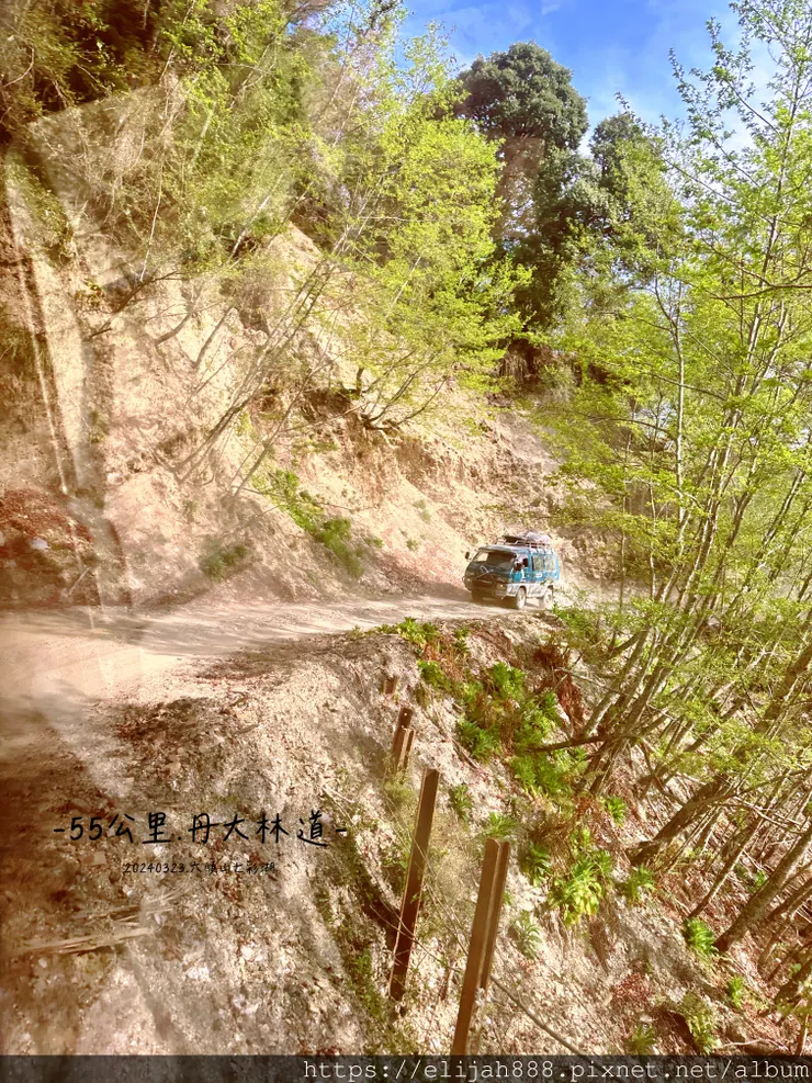 【丹大林道.六順山.七彩湖】南投縣地利村哈木山民宿/丹大林道