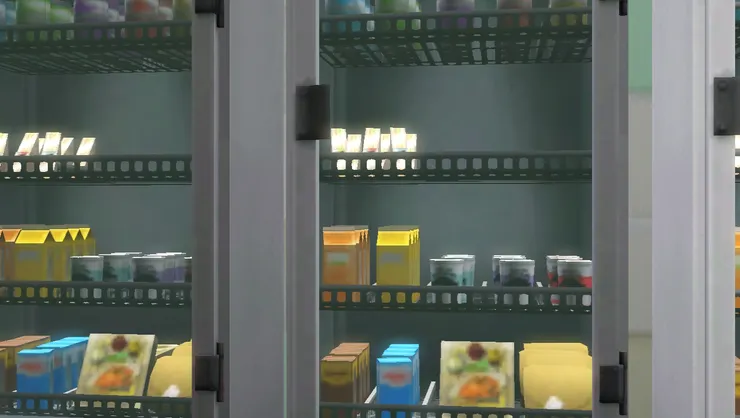 罐裝汽水啊、雪糕啊、紙包飲品應有盡有。