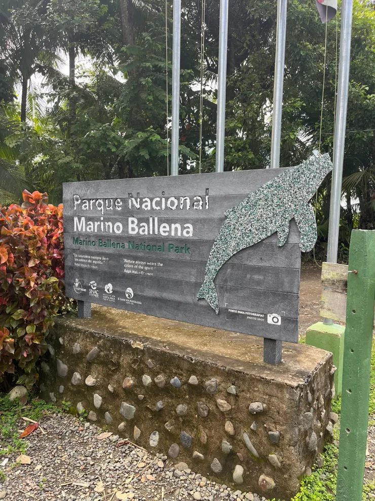 Ballena國家公園,哥斯大黎加的每個國家公園都會有不一樣的動物招牌喔