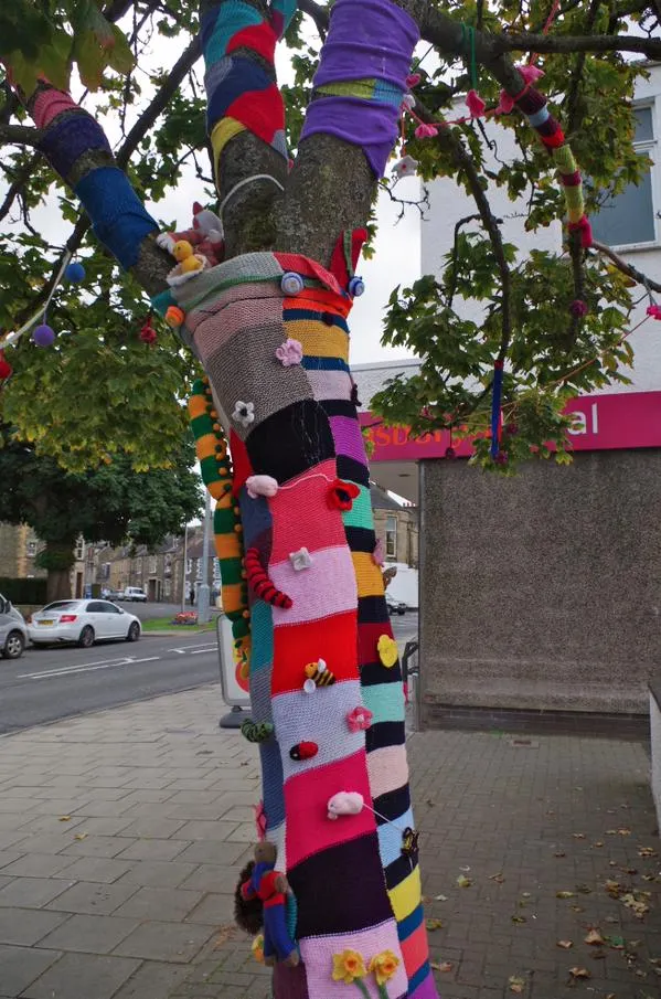 真的是“毛毛”蟲！