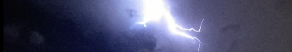 藍迪韋