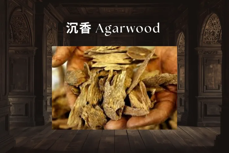 沉香 Agarwood —— 神秘、濃郁、層次豐富