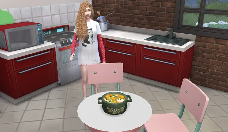 桑雅做了一鍋大燉菜~ 冰在冰箱~