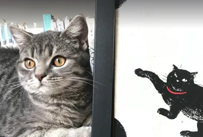 遊民小姐的陸橋下