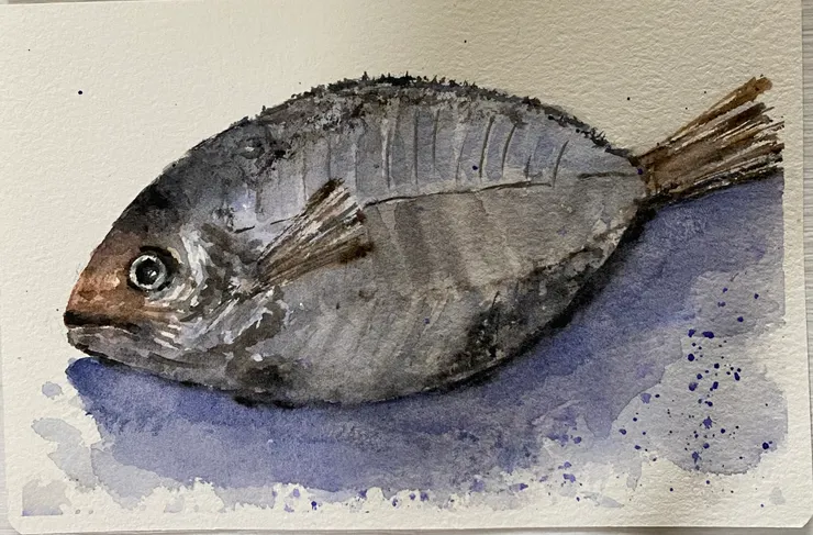 我很小，可是我很好吃