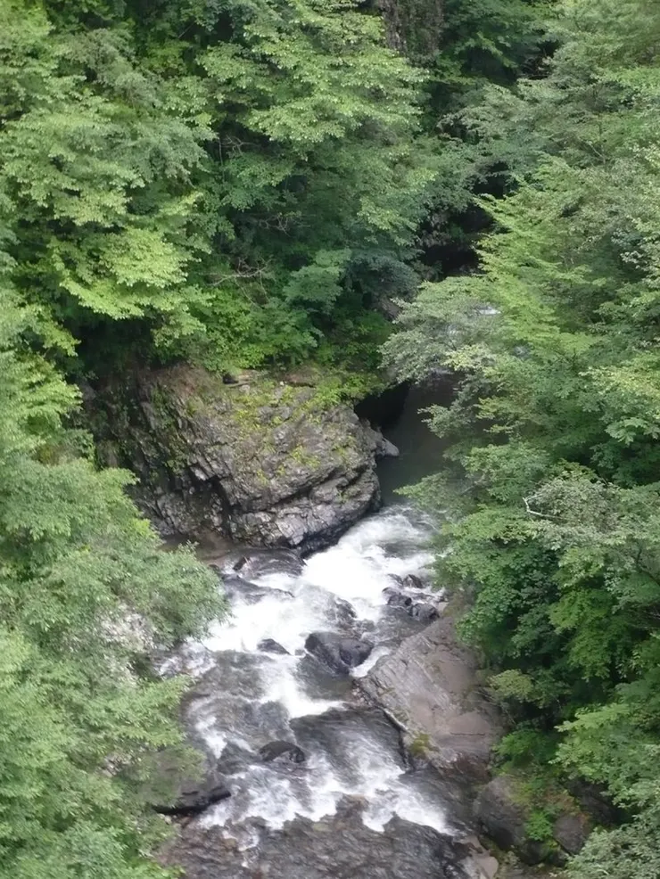 圖片來自:花魁淵 mapplefan8