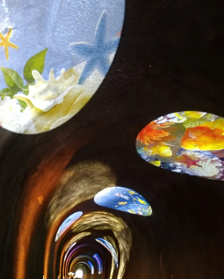 再往前走一點,  看得更清楚!