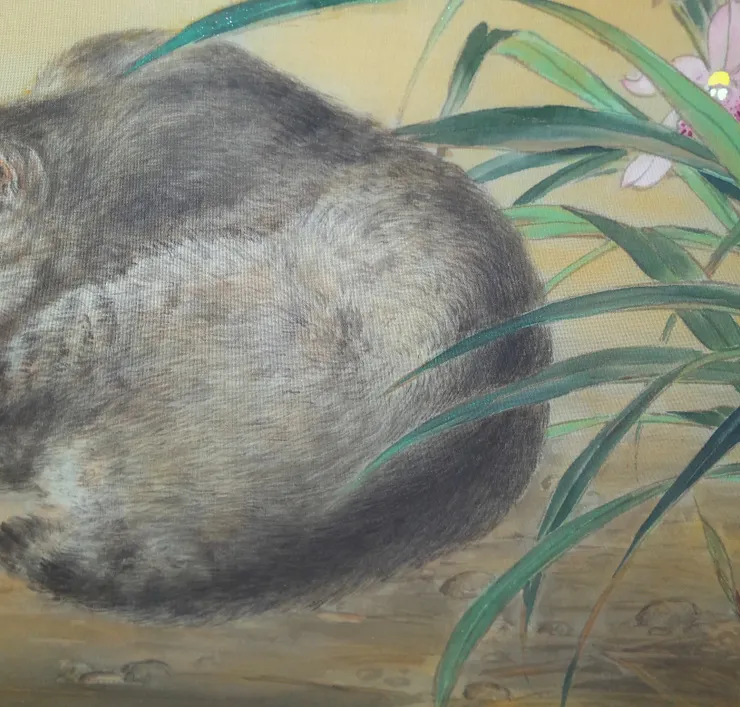 〈蘭圃春深〉局部－貓