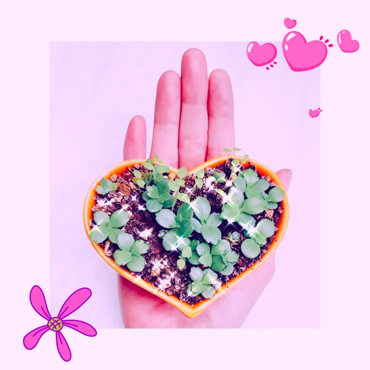 讓愛情成為生活中最美的旋律，時刻回響於心。 圖 | 梵靈乾坤工作室提供