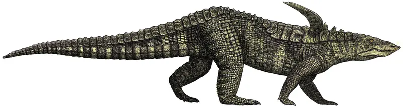src