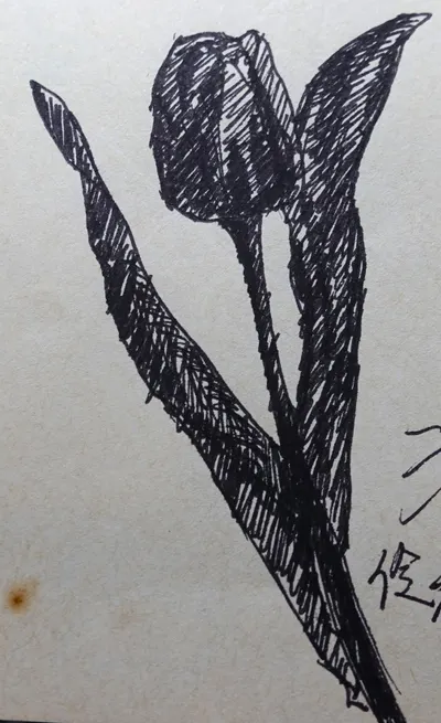 《速寫》花、草、水果