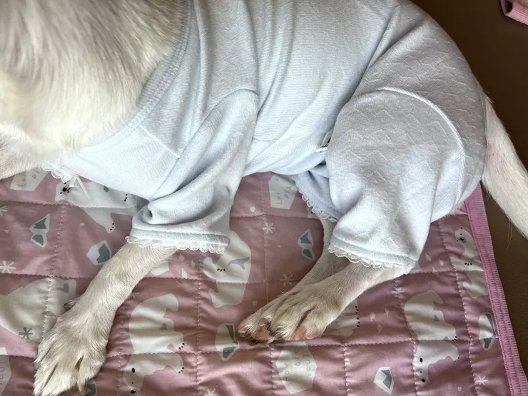 褲管的長度剛剛好,不會拖到地上,包覆性也夠