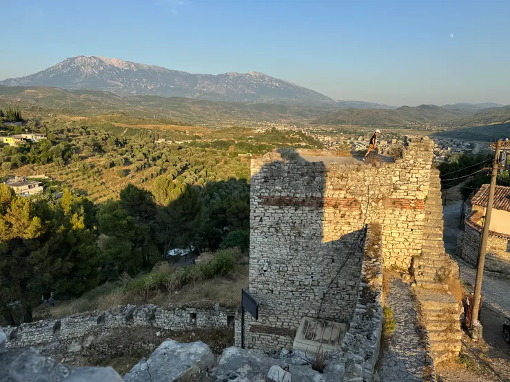遠方滿滿的葡萄園與橄欖園