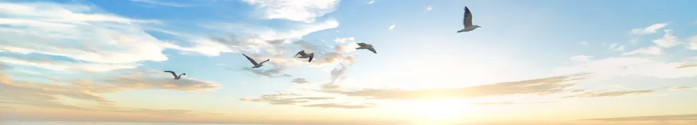 甜心眼淚 Sugar Tears 🌺的沙龍