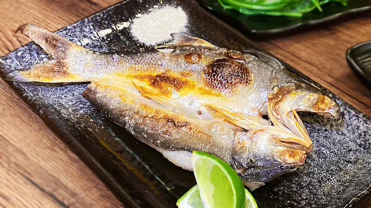 蘆洲居酒屋推薦│京田津居酒屋，氣氛滿點的蘆洲日式串燒店