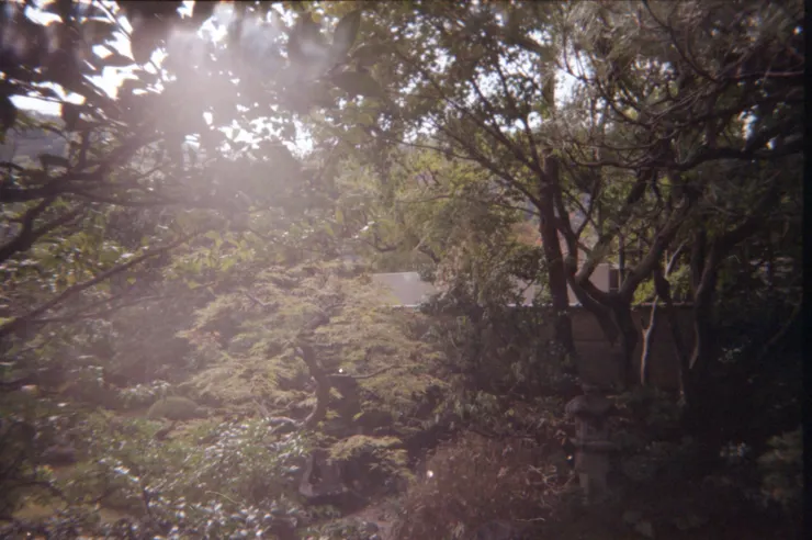 我以為努力朝前方奔去，就不會迷路。但是我的「向前奔去」卻變成了在「逃跑」。