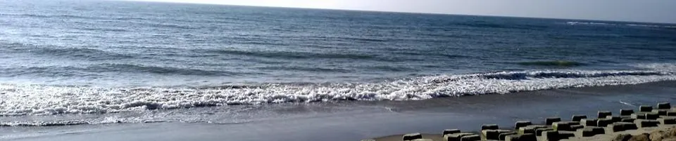 您好，我爸爸是顏明政，而我呢？就叫顏鳳梨，目前在學習接電話！