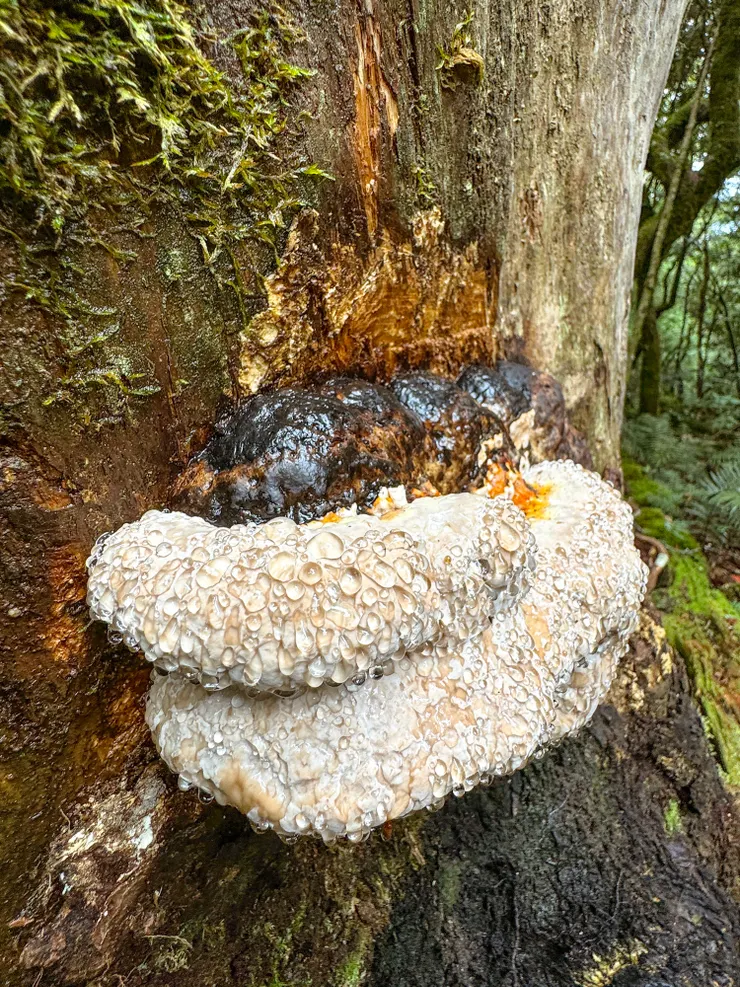 怎麼流這麼多汗～～？？（松生擬層孔）