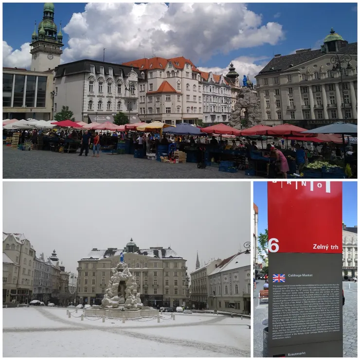 一年四季都有不同蔬果，不同景色的包心菜市場