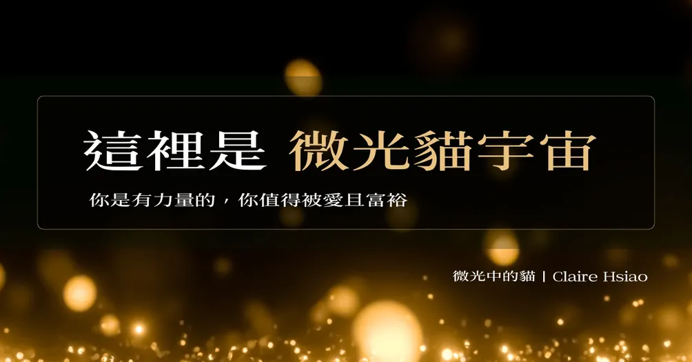 微光中的貓 | Claire Hsiao