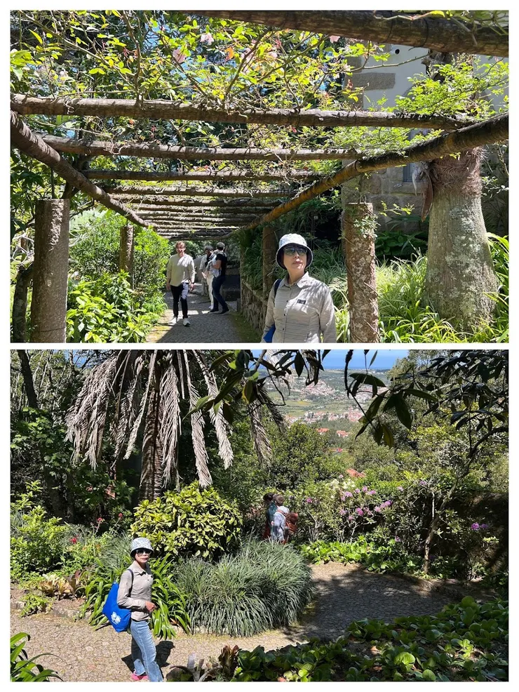 別墅附近的花園原始但不雜亂