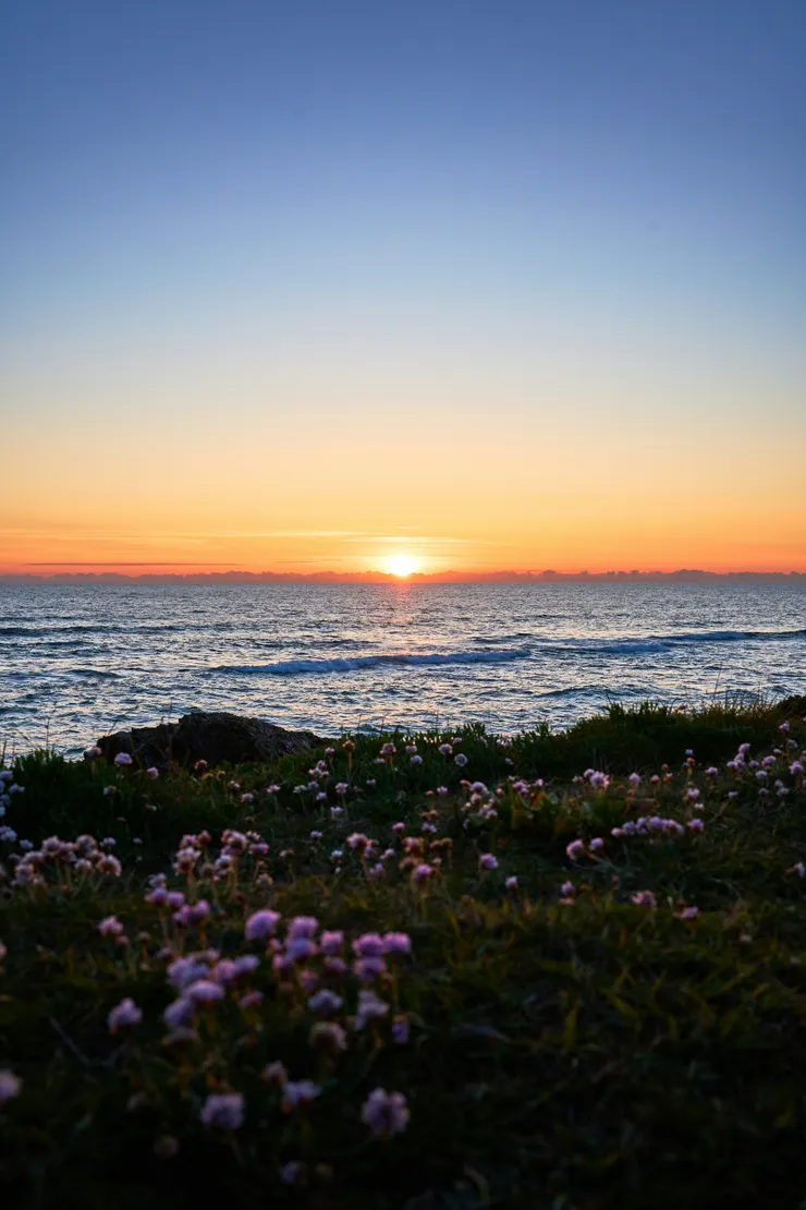 Photo by Thibault Mokuenko on Unsplash