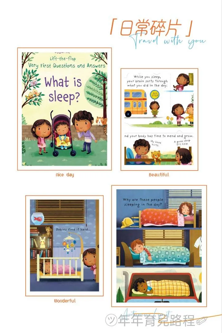 為什麼要睡覺(What is Sleep)