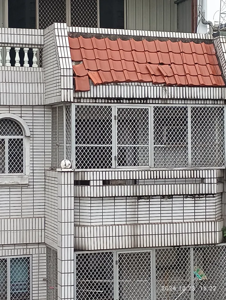 鄰居瓦破間縫八哥養雛，自拍攝