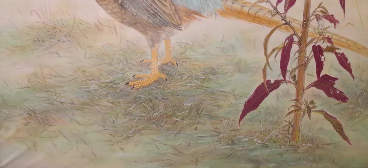 〈雉鴝萬里霜/霜晨鴝聲〉局部-地面