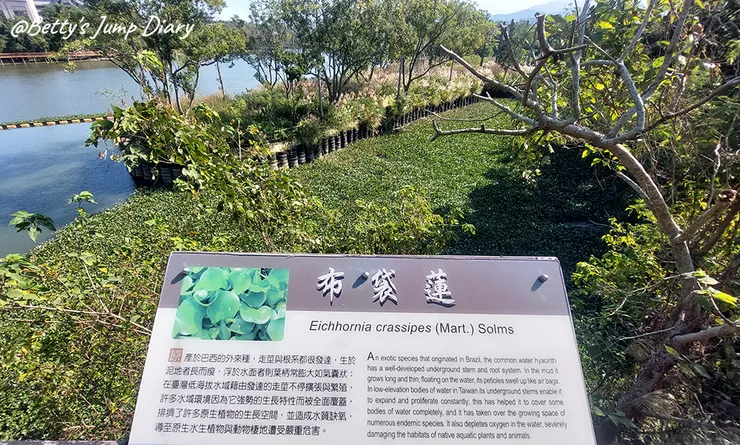 ▲新竹峨眉湖環湖步道/圖片來源:Betty's Jump Diary